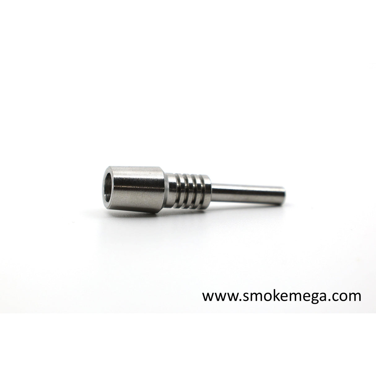 10 mm Stainless Nail