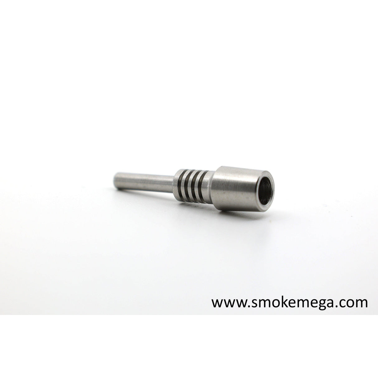 10 mm Stainless Nail