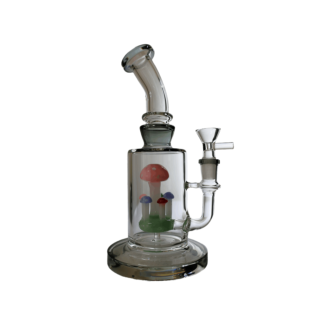 BONG | Bent Neck Mushroom Perc Water Pipe Bong 8"