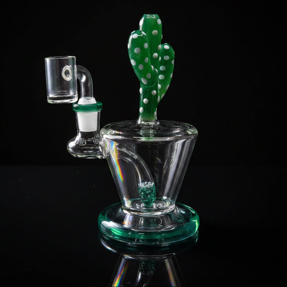 Cactus Rigs 7