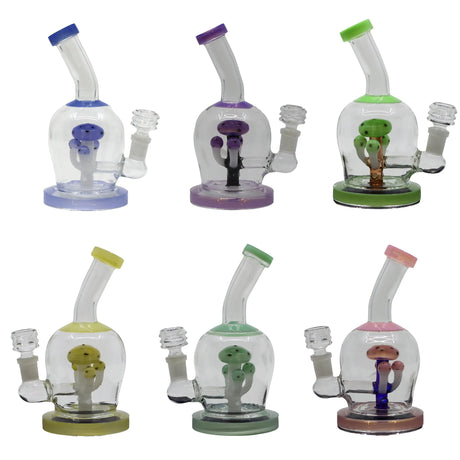 Masroom Dab Rig SmokeMEGA